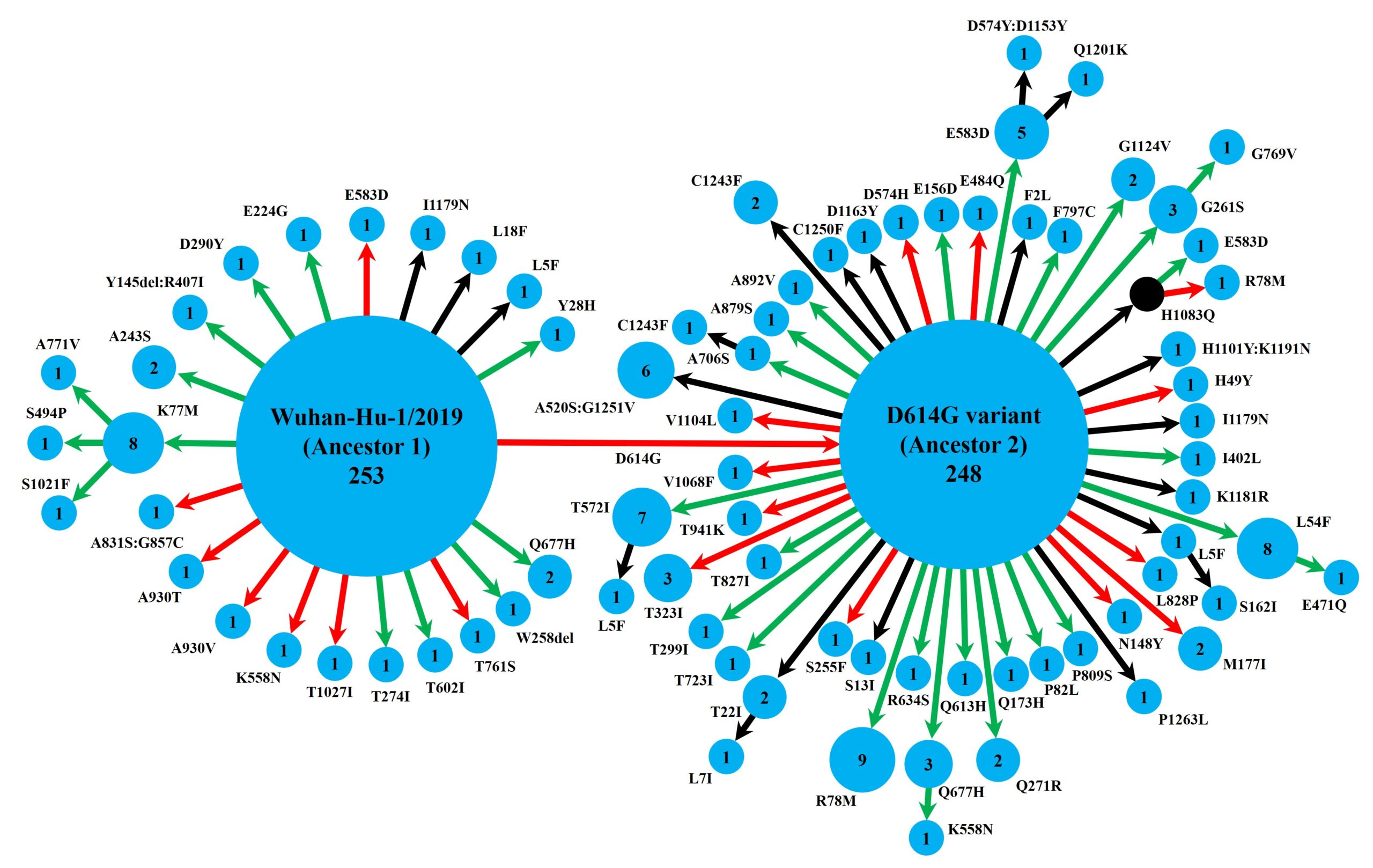 Our research on Covid-19